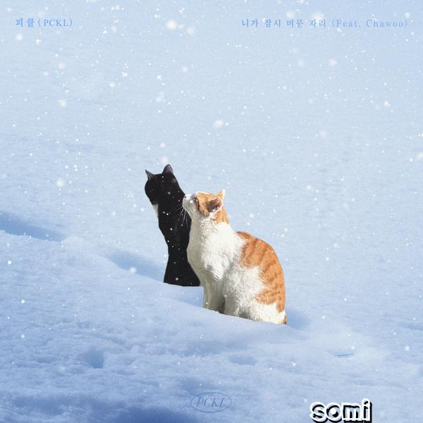 Image Cover